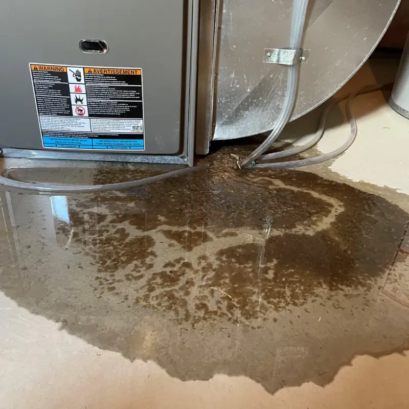 Appliance Leak Cleanup in Dearborn Heights, MI